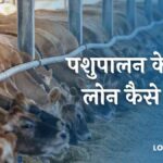 Pashupalan Loan Yojana 2023 पशुपालन के लिए लोन कैसे लें