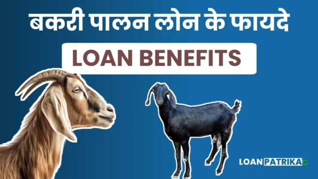 Bakri Palan Loan लेने के फायदे (Loan Benefits)